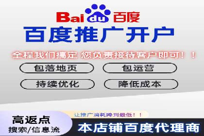 行业领先的SEM优化案例：提升品牌曝光率